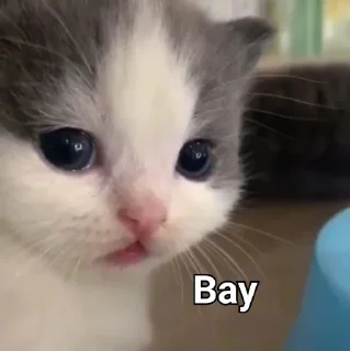 Зачем этот пак существует