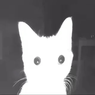 😦