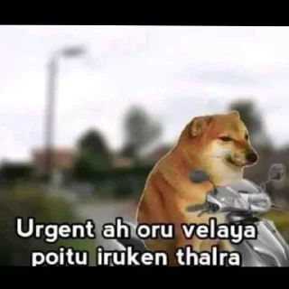 ⚡