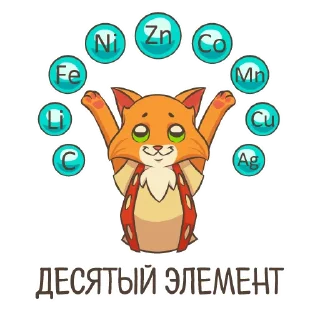 😼