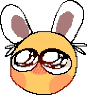 🐰