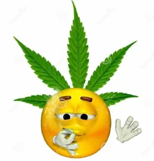🌿