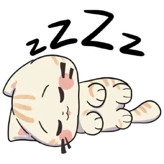 😴