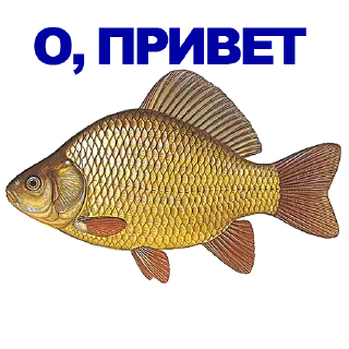 🐠