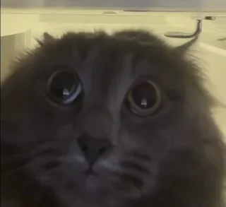 😳