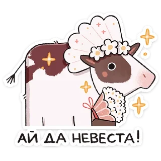 👰