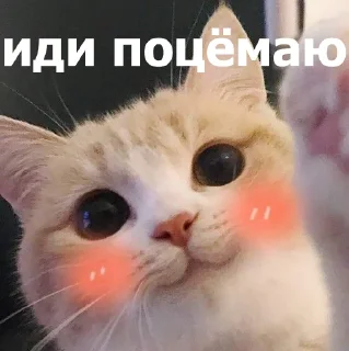 😚