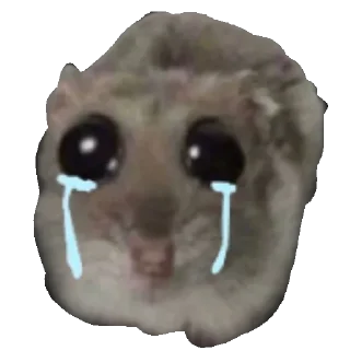 😭