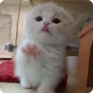 😛