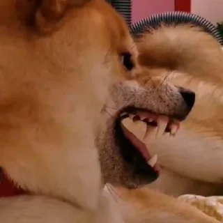 🤬