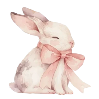 🐰