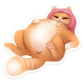 🐱