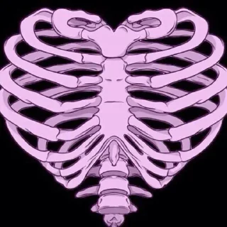 💗