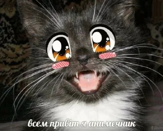 😊