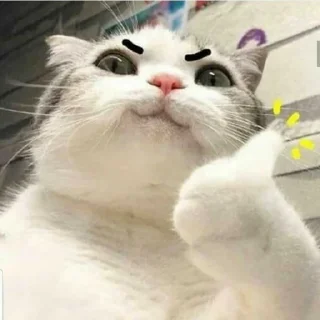 👍