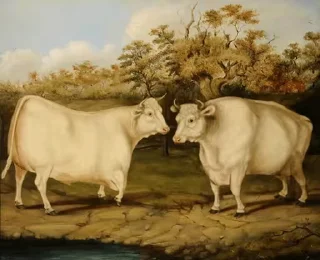 🐮