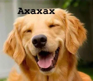 😂