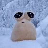 Pou listov