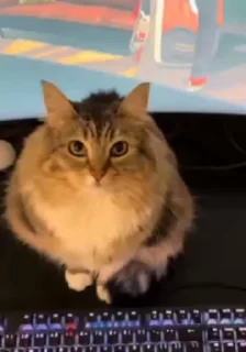 🙄