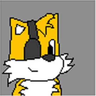 🦊