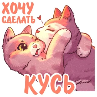 😼