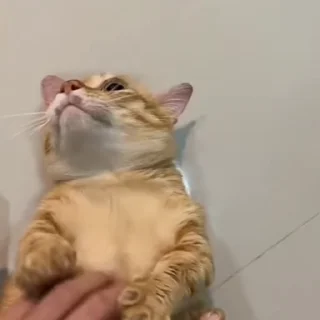 😖