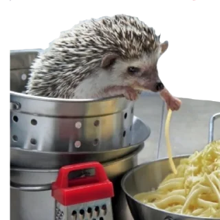 👩‍🍳