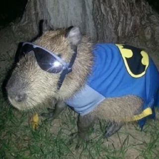 🦦