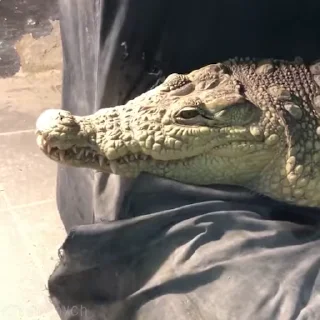😌