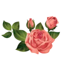 💐