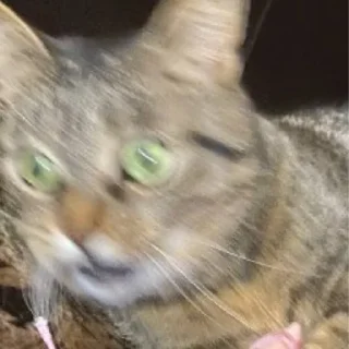 😦