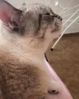 😕