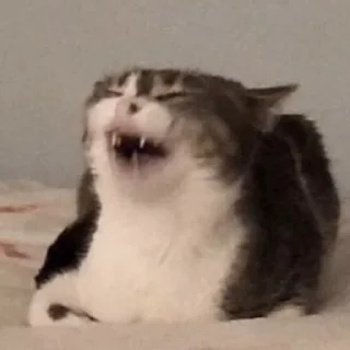 🤣