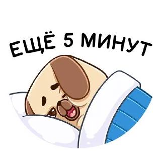 😴