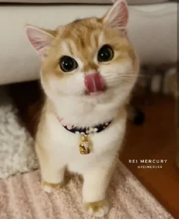 😋