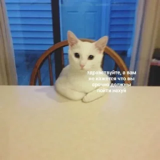 🤨