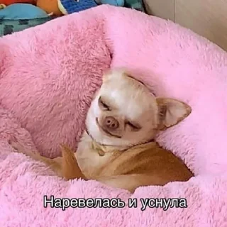 💤