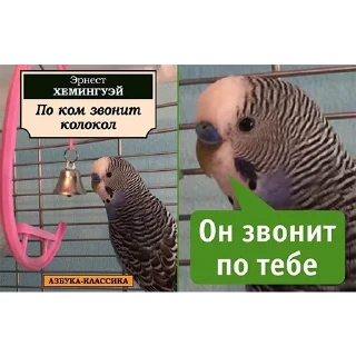 😉