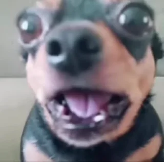 😲