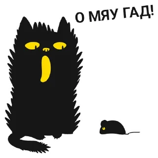 🙀