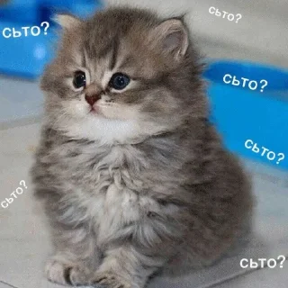 🙄