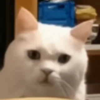 😕