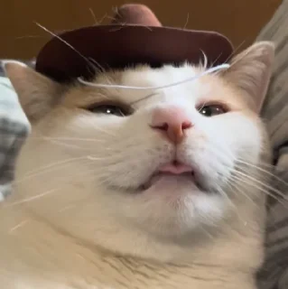 🤠