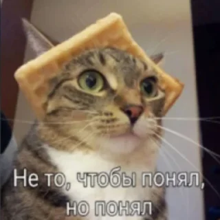 🫠
