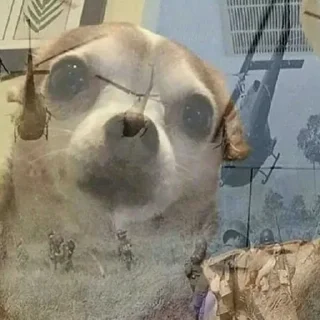 🐕