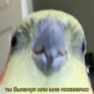🤨