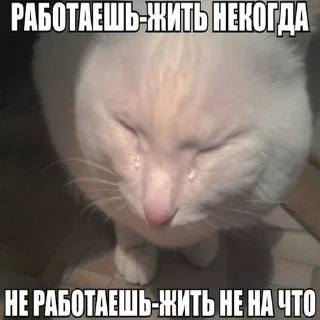 😞