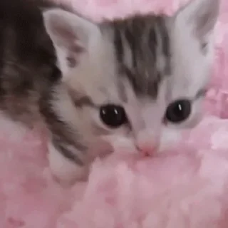 😳