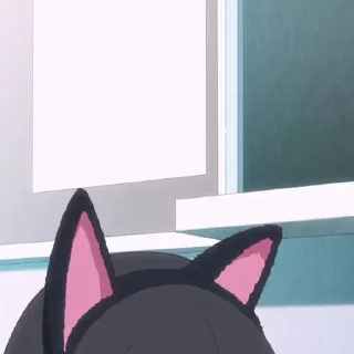 😻