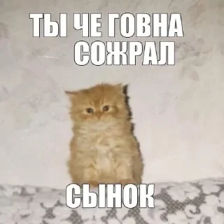 💩